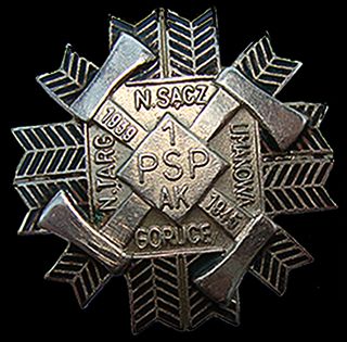 1PSP  Commemerative Medal
